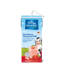 Oldenburger Strawberry milk drink, UHT long-life, 200ml