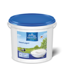 12198 Oldenburger natural yogurt, 5kg