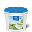 Oldenburger curd, 5kg